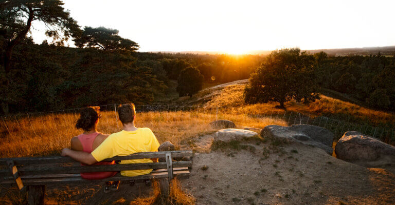 Ausgewählte Projekte